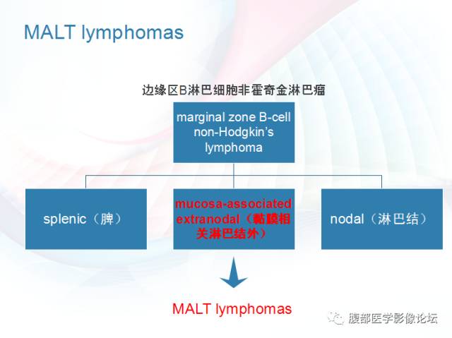 【PPT】粘膜相关淋巴组织淋巴瘤