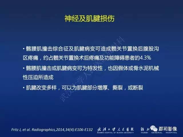 【PPT】髋关节置换术后影像学评价