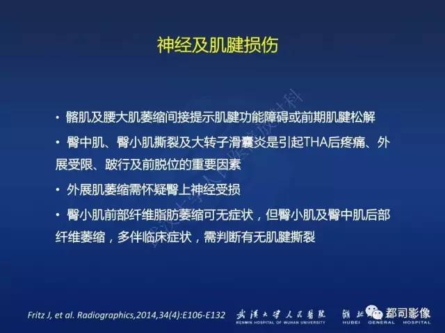 【PPT】髋关节置换术后影像学评价