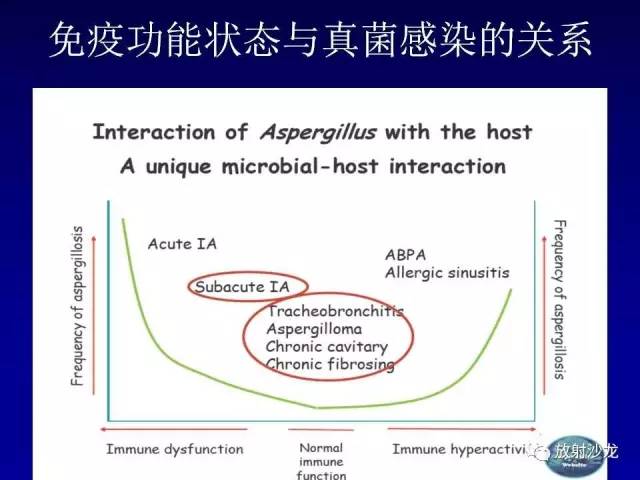 【PPT】肺真菌病的影像诊断与鉴别诊断