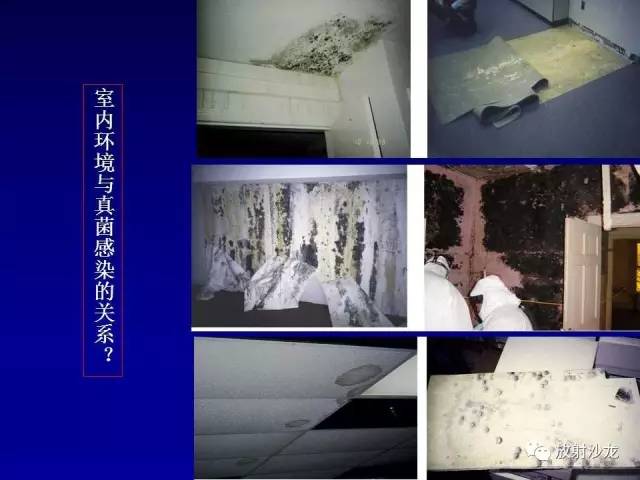 【PPT】肺真菌病的影像诊断与鉴别诊断