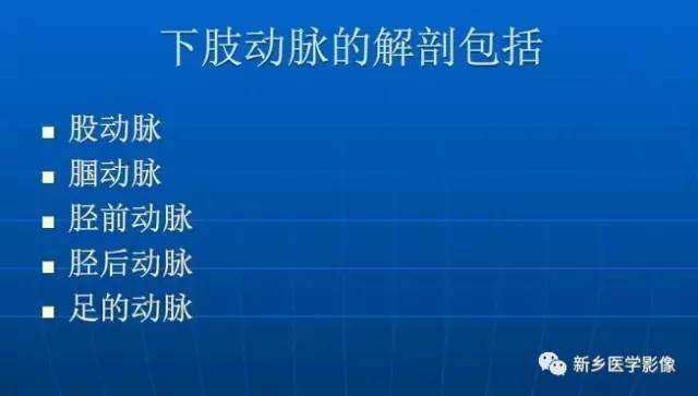 【PPT】下肢动脉解剖