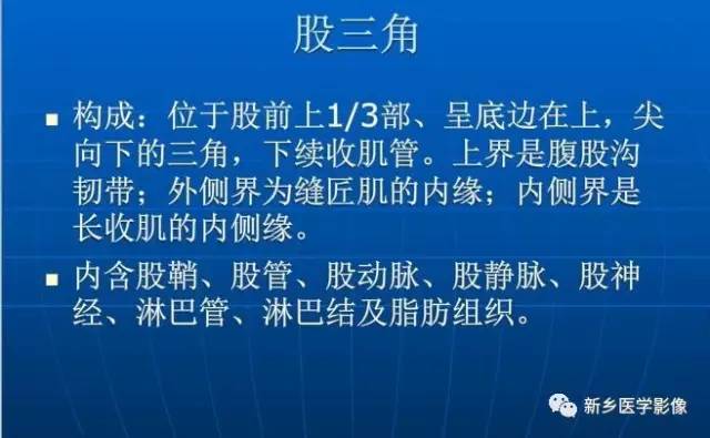 【PPT】下肢动脉解剖