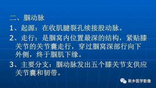 【PPT】下肢动脉解剖