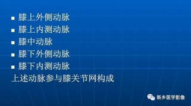 【PPT】下肢动脉解剖