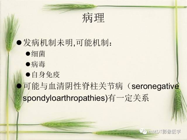 【PPT】SAPHO综合症