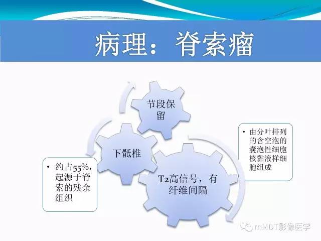 【PPT】骶尾椎病变的诊断思路