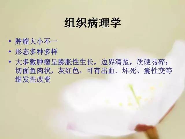 【病例】胃肠道间质瘤1例影像诊断与鉴别 【病例】胃肠道间质瘤1例影像诊断与鉴别