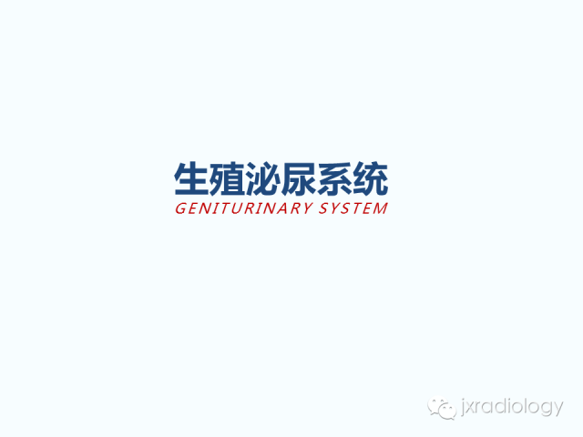 【PPT】腰椎CT、MRI检查的脊柱外异常发现：图文综述