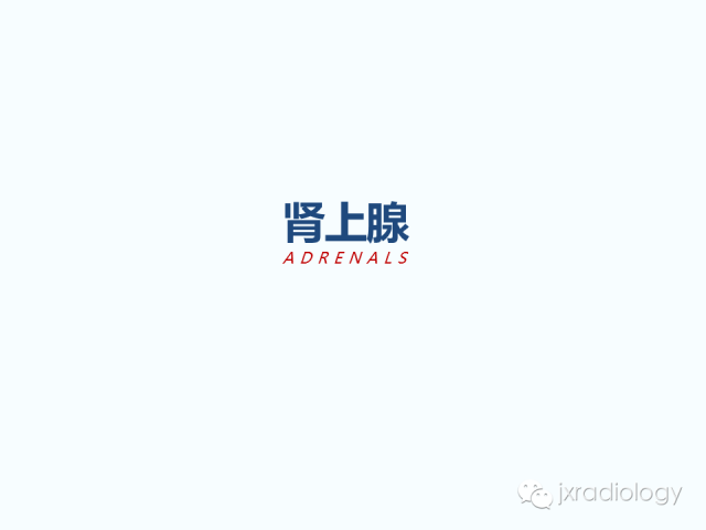 【PPT】腰椎CT、MRI检查的脊柱外异常发现：图文综述