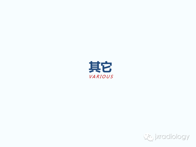 【PPT】腰椎CT、MRI检查的脊柱外异常发现：图文综述
