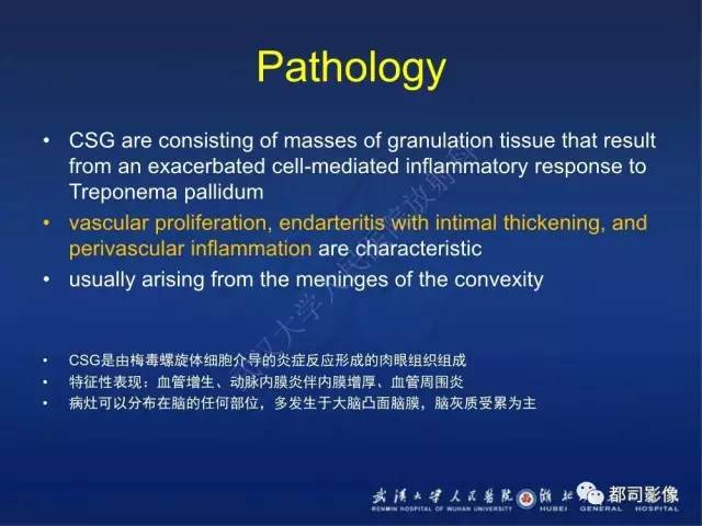 【PPT】颅内梅毒树胶肿影像诊断