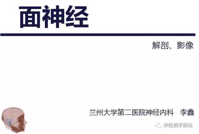 【PPT】面神经解剖、影像