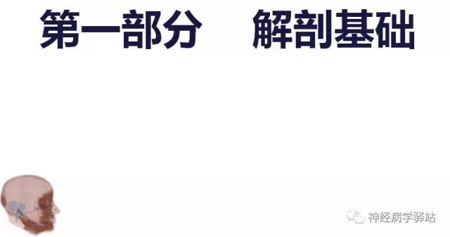 【PPT】面神经解剖、影像 【PPT】面神经解剖、影像