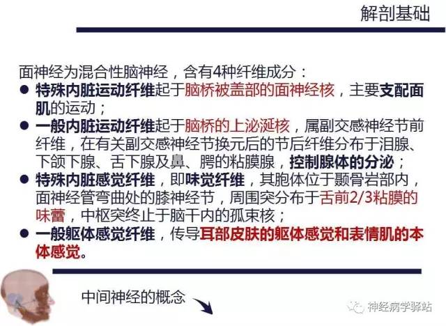 【PPT】面神经解剖、影像 【PPT】面神经解剖、影像