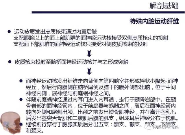 【PPT】面神经解剖、影像 【PPT】面神经解剖、影像