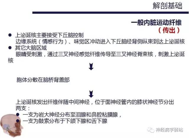 【PPT】面神经解剖、影像 【PPT】面神经解剖、影像