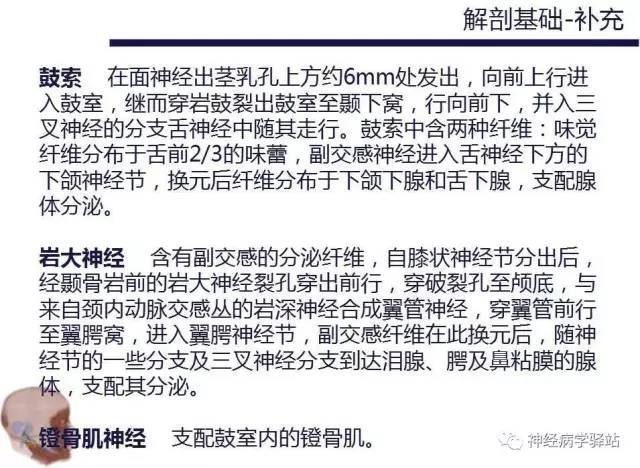 【PPT】面神经解剖、影像 【PPT】面神经解剖、影像