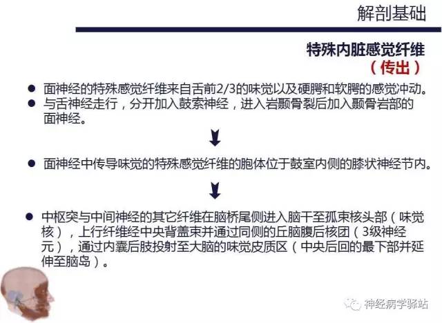 【PPT】面神经解剖、影像 【PPT】面神经解剖、影像