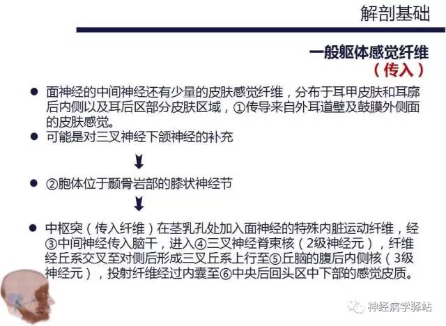 【PPT】面神经解剖、影像 【PPT】面神经解剖、影像
