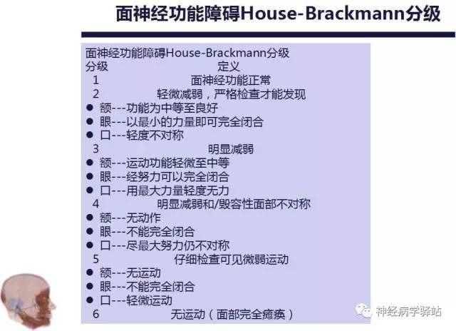 【PPT】面神经解剖、影像 【PPT】面神经解剖、影像