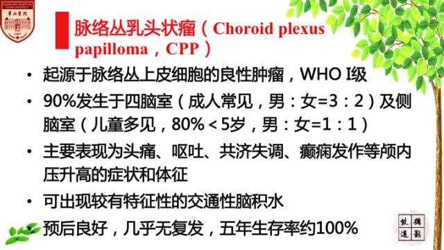 【病例】脉络丛乳头状瘤1例MR影像诊断与鉴别 【病例】脉络丛乳头状瘤1例MR影像诊断与鉴别
