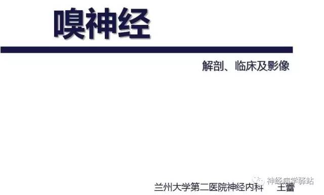 【PPT】嗅神经解剖、临床及影像