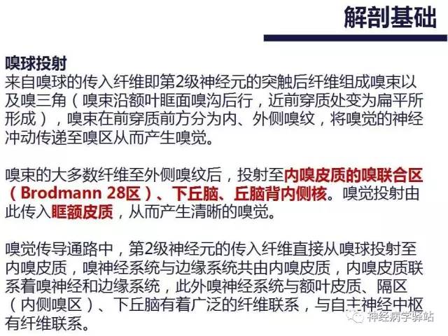 【PPT】嗅神经解剖、临床及影像