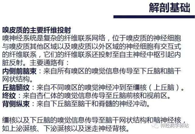 【PPT】嗅神经解剖、临床及影像
