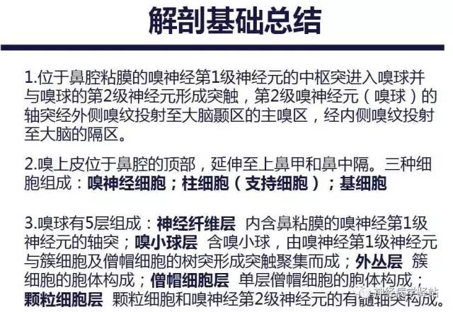 【PPT】嗅神经解剖、临床及影像