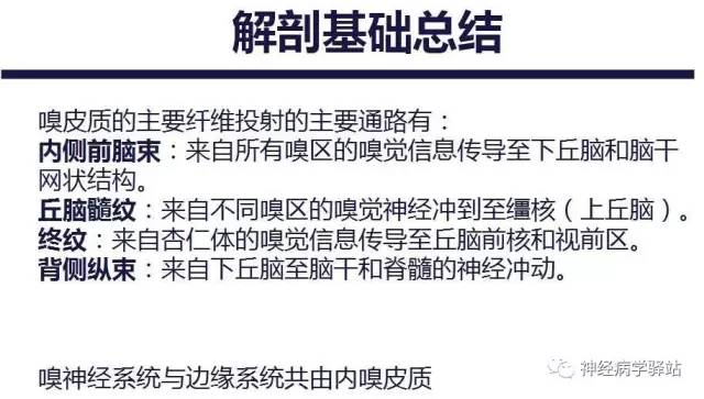 【PPT】嗅神经解剖、临床及影像