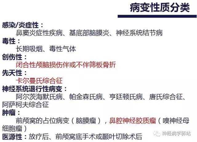 【PPT】嗅神经解剖、临床及影像