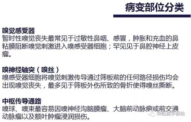 【PPT】嗅神经解剖、临床及影像