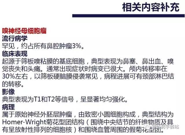 【PPT】嗅神经解剖、临床及影像