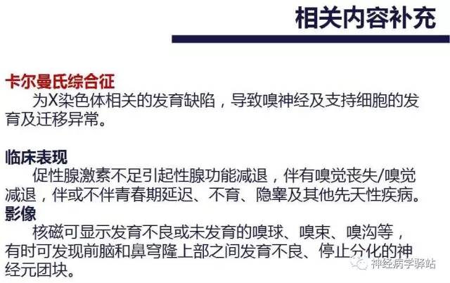 【PPT】嗅神经解剖、临床及影像