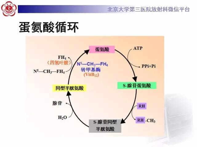 【病例】原发性胼胝体变性1例MR