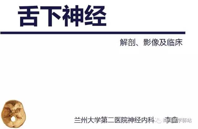 【PPT】舌下神经解剖、影像及临床
