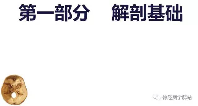【PPT】舌下神经解剖、影像及临床 【PPT】舌下神经解剖、影像及临床