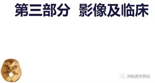 【PPT】舌下神经解剖、影像及临床 【PPT】舌下神经解剖、影像及临床