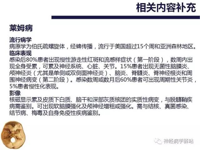 【PPT】舌下神经解剖、影像及临床 【PPT】舌下神经解剖、影像及临床