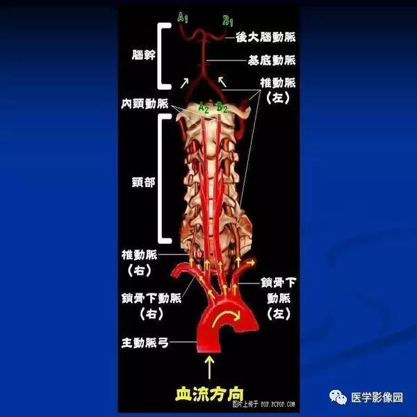 【PPT】颈椎病影像诊断
