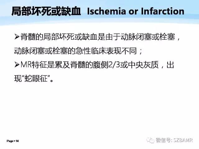 【PPT】脊髓非肿瘤性病变的MR