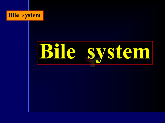 【PPT】常见肝胆胰腺疾病的CT(全)