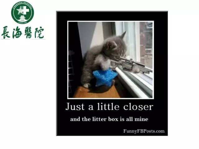 【病例】胰腺神经内分泌肿瘤1例MR