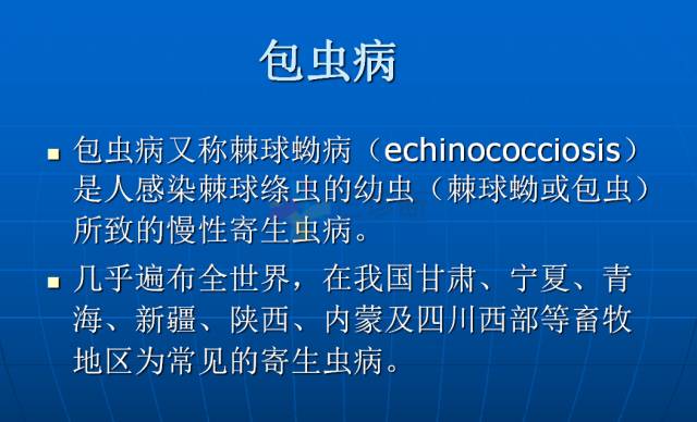 【PPT】肝包虫CT诊断