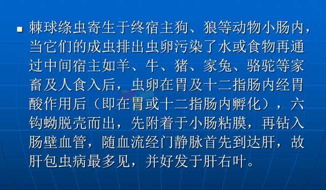 【PPT】肝包虫CT诊断