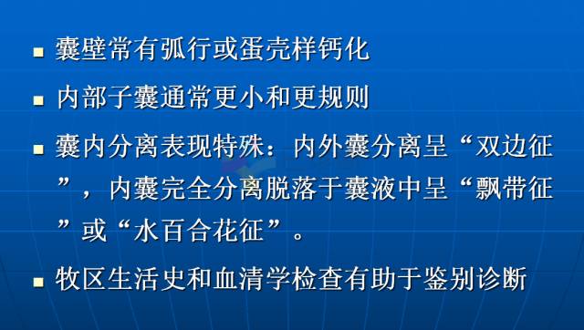 【PPT】肝包虫CT诊断