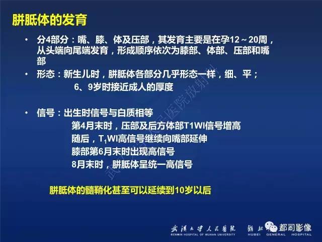 【PPT】新生儿缺氧缺血性脑病影像诊断
