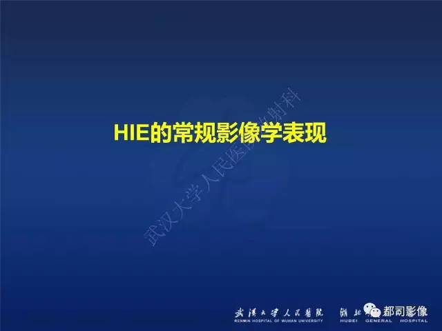 【PPT】新生儿缺氧缺血性脑病影像诊断