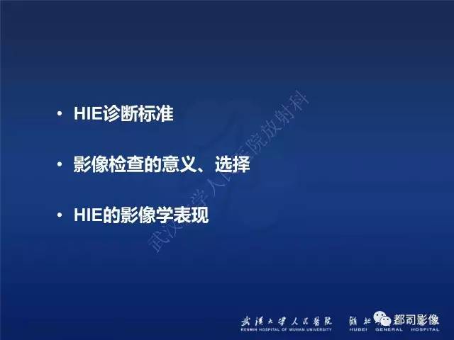 【PPT】新生儿缺氧缺血性脑病影像诊断